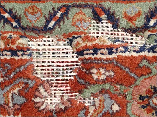 Protect Your Rugs from Moths– Bradford's Rug Gallery